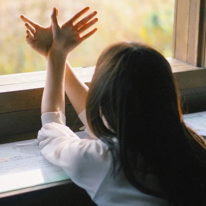 从此不负小相思